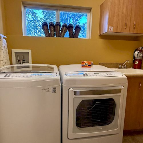A laundry room with a washer, dryer, sink, and cabinets. There's a fire extinguisher and a window with a plant outside.
